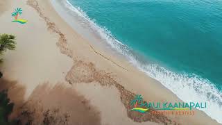 Maui Eldorado Kaanapali | Aerial Views of the Resort & Kaanapali Beach