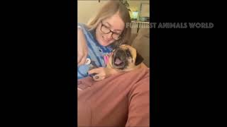Funny Cats And Dogs Videos ð         BEST Funny Animal Videos 2024 ð  ¥°#2