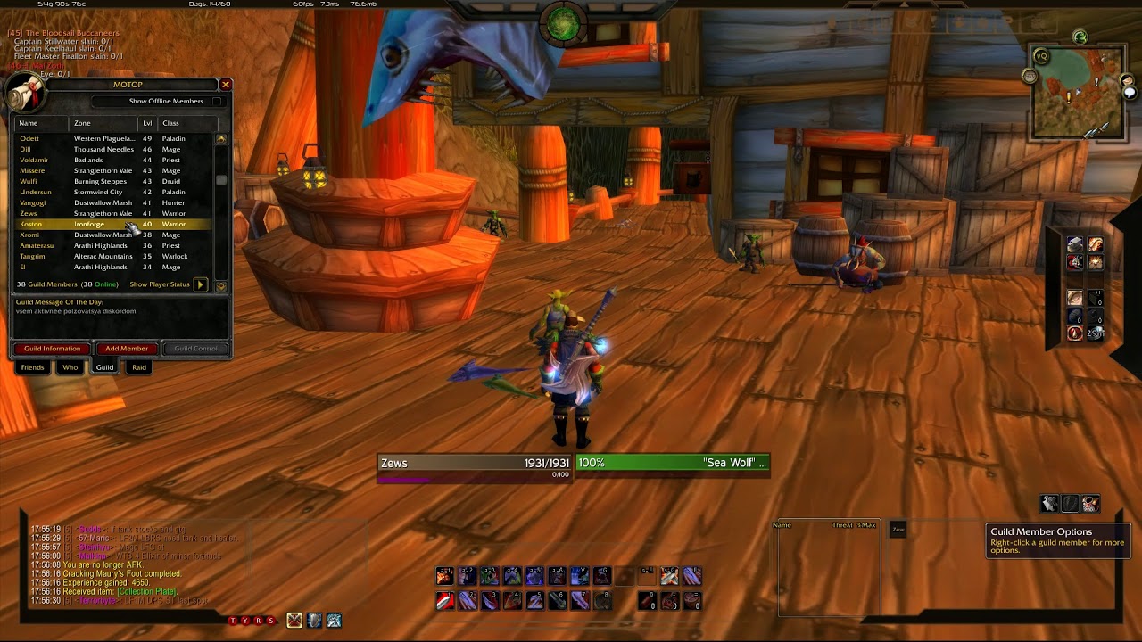 World of Warcraft Classic: Nethergarde