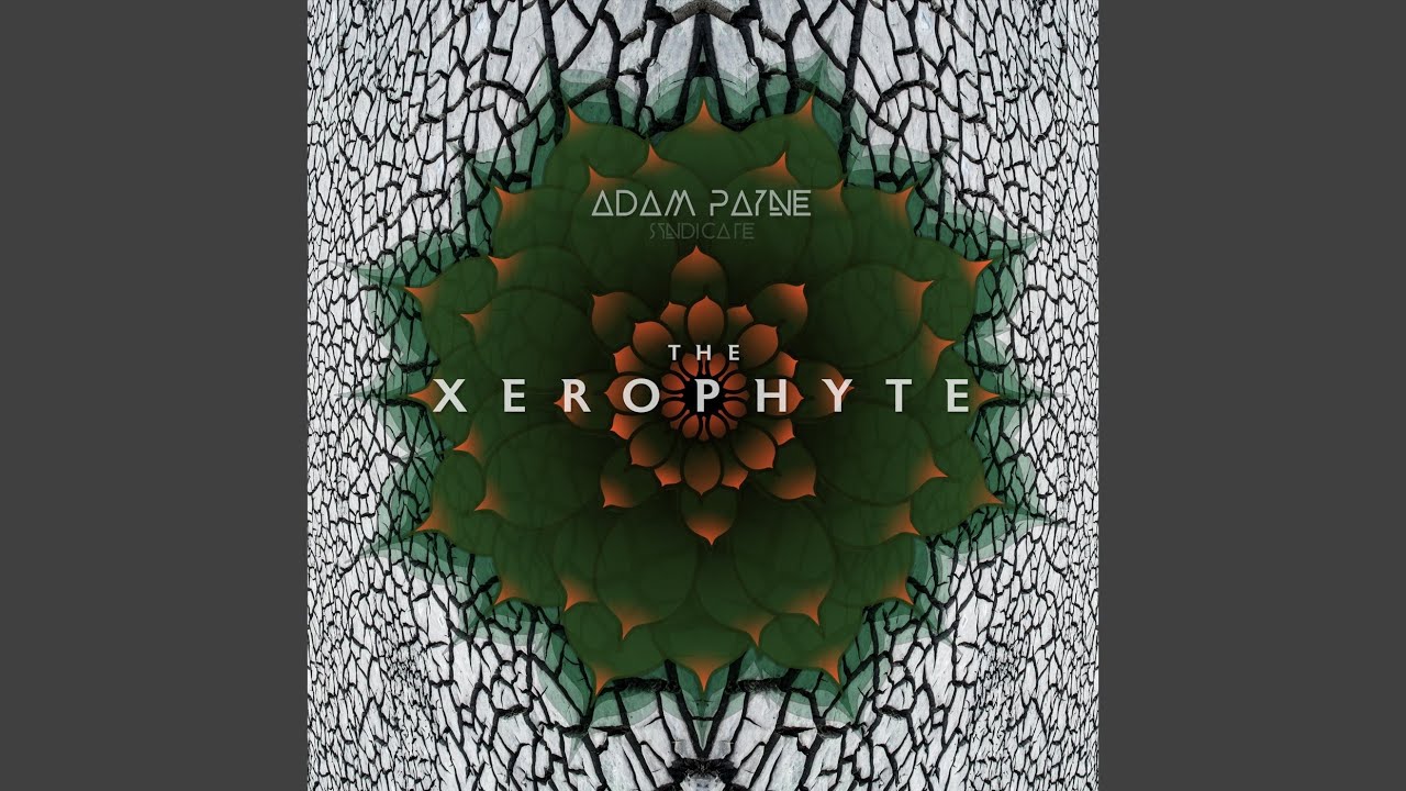 Xerophyte 2 adlı videoyu YouTube'da izle Xerophyte 2 adlı videoyu YouTube'da izle