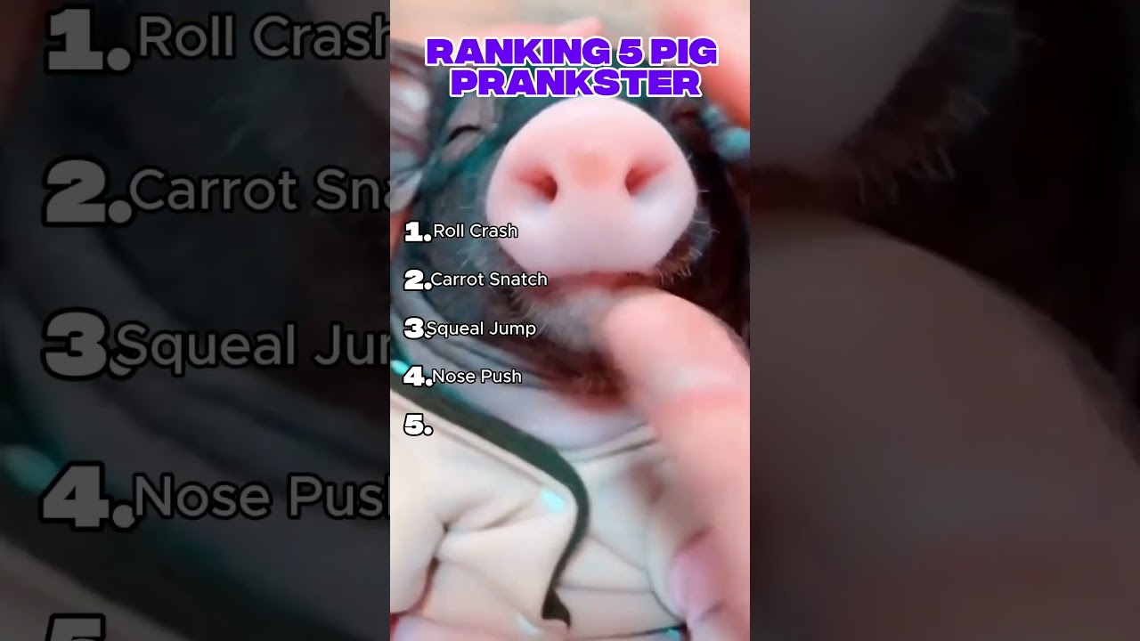 PIGGY PORKY PRANKSTERS!#shorts