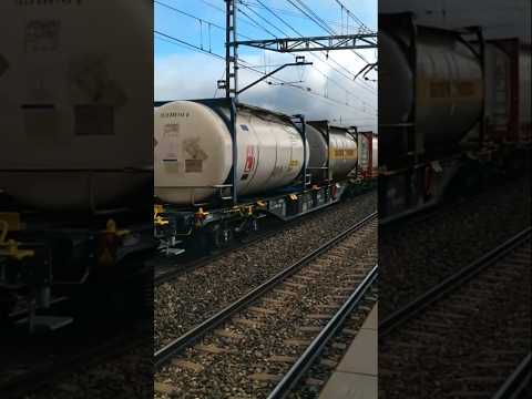 Nuevas plataformas RenfeM de TVP.