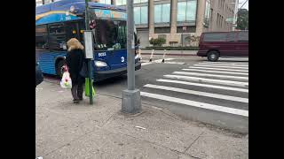 Q44, N4, Q5 Buses At | Jamaica Parson/Acher