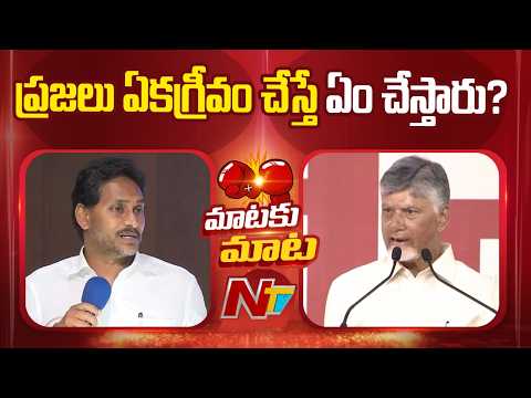 CM Chandrababu Counter to YS Jagan on Local Elections | NTV Telugu - NTVTELUGU