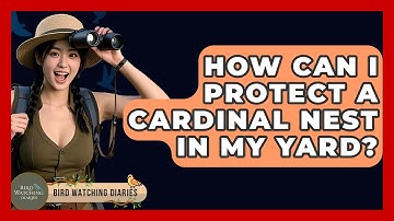 How Can I Protect A Cardinal Nest In My Yard? - Bird Watching Diaries