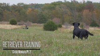 Circle Memory Part 2- Labrador Retriever Training
