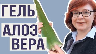 Алоэ Вера: Как сделать гель АЛОЭ ВЕРА в домашних условиях