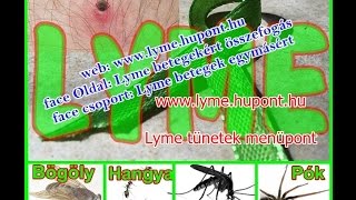 lyme méregtelenítő kiegészítők