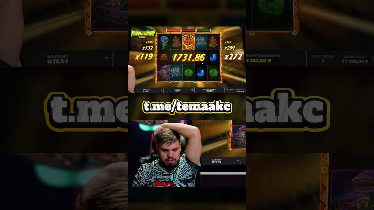 Florageddon дал отмазку, и вот ЗАНОС от Tema Akc — это нечто!  