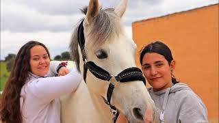 Alumnos en prácticas del IES Torres Villarroel en C.T.R. Hípica " La Torrecilla "