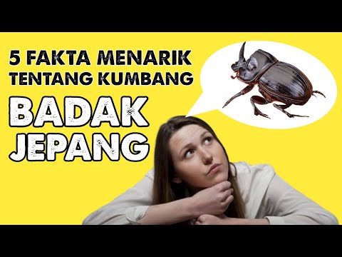 Fakta Unik dan