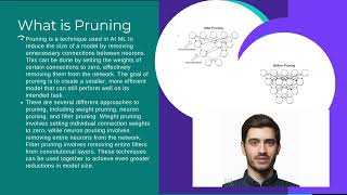 Pruning and Quantization in AI ML