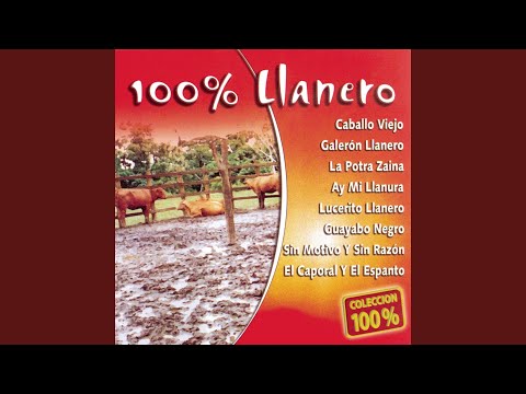 Watch the video for Ser Llanero Cuesta Caro