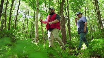 What Is the Family Forest Carbon Program?