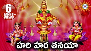 హరి హర తనయా Ayyappa Hit Song | Ayyappa Devotional Songs | Disco Recording Company