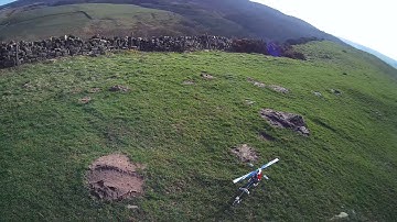 Align Trex 450 crash