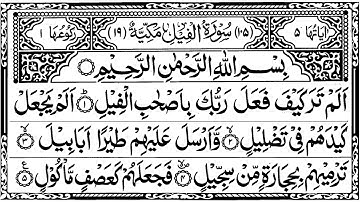 105 Surah Al fil | سورة الفيل by Muslimsplatform