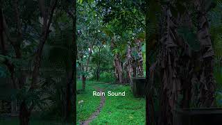 rainsound  rainsoundsforsleeping rainsounds rainsound stressrelief anxietyviral stress fyp