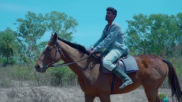 Horse Riding I Sony A7III I ZHIYUN Crane 3 Lab