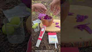 The 4 ways to measure the pH of your soil #garden #rosecaring #gardening