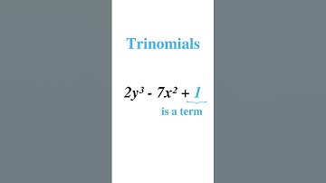 Cat explains Polynomials #maths #proof #derive #science
