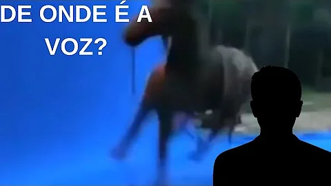 Como surgiu o meme do cavalo?