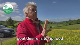 Farming for Nature Ambassador Lisa Gifford @farmingfornature