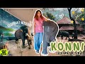 Konni Eco Tourism Elephant Sanctuary Kerala S Hidden Wildlife Gem Konni Elephant Reserve Kerala Konni Eco Tourism Elephant Sanctuary Kerala S Hidden Wildlife Gem Konni Elephant Reserve Kerala