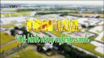 Nông dân lãi tiền triệu nhờ mô hình trồng lúa kết hợp nuôi tôm