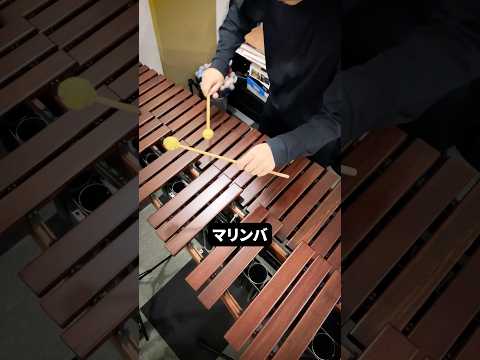 いろんな打楽器 で ライラックチャレンジ 打楽器 オタマトーン 