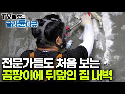 어디서 쿰쿰한 냄새가 나길래 단열재 뜯어보니..｜베테랑 작업자들도 혀를 내두른 곰팡이 뒤덮인 집｜이 정도면 대공사ㅣ단열 시공｜극한직업｜#골라듄다큐