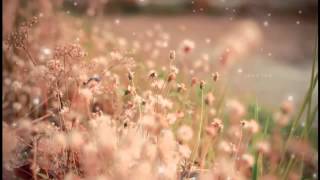 Download Lagu Best arabic nasheed that i have even listen with no music ( must watch) MP3