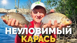 🔺 ХИТРЫЙ КАРАСЬ ⚠️ Рыбалка в Киеве ✅ Клев карася прошел… Рыбалка 2024