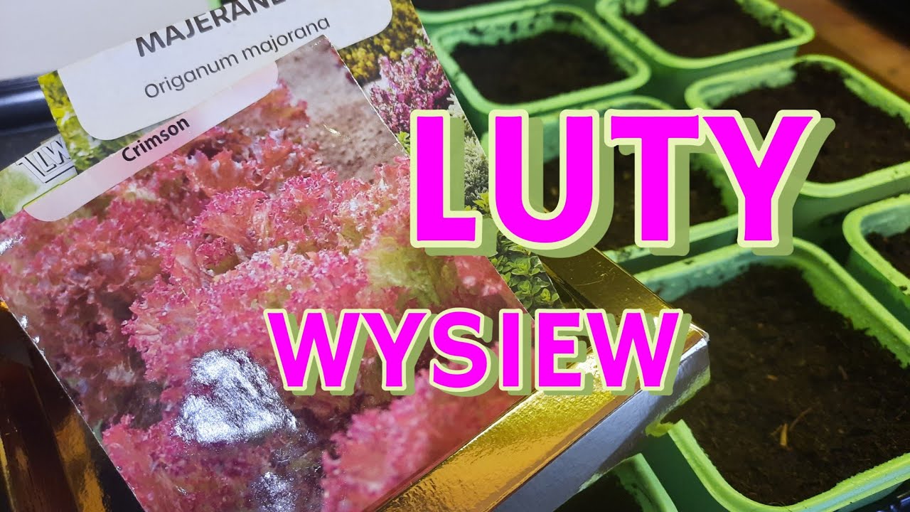 WYSIEWY W LUTYM 🌱 WARZYWA KTÓRE WYBRAŁAM DO WYSIEWU. 