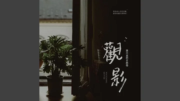 觀影 - 天天要聞