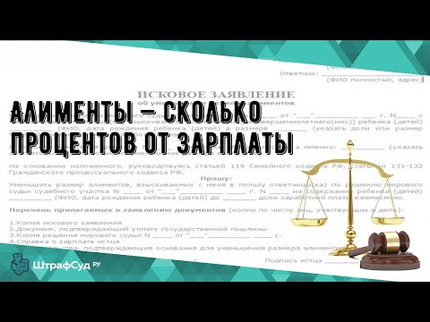 Алименты — сколько процентов от зарплаты