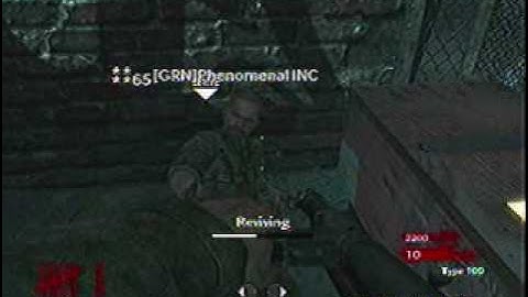 Call Of Duty WAW Der Riese Multi Gun Glitch TuT