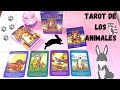 RESEÑA TAROT DE LOS ANIMALES..🌹