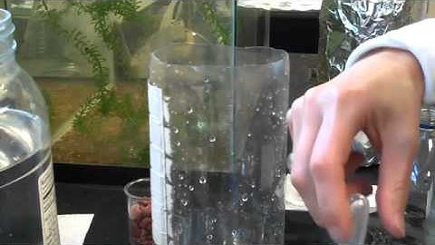 Vernier Dissolved Oxygen probe instruction - Part 3