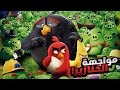 طائر صغير بيتحد مع اصدقائه علشان ينقذوا جزيرتهم من هجوم الخنازير ملخصات افلام ديزني   1