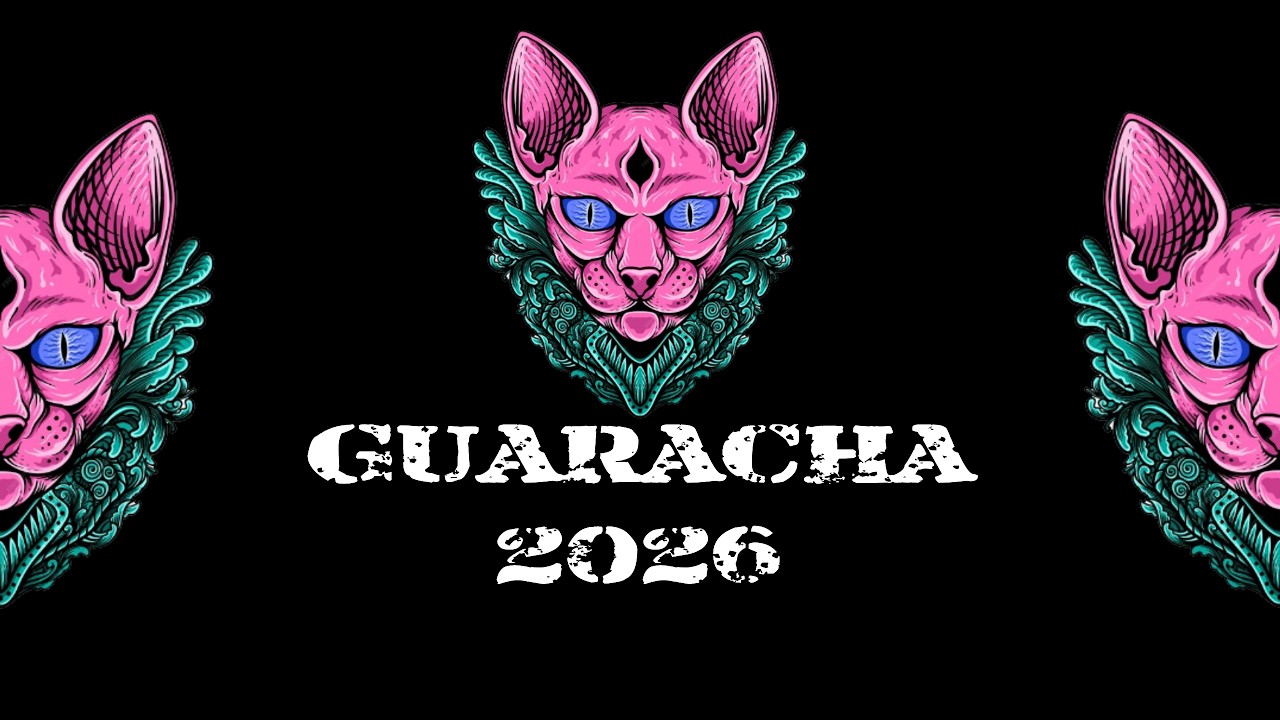 MIX GUARACHA ALETEO SET 2026 💥 ME LLEVAS HASTA EL CIELO | DROGA MUSICAL