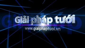 Cải tạo béc cánh đập thành béc tưới cục bộ tại Tây Ninh