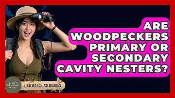Are Woodpeckers Primary Or Secondary Cavity Nesters? - Bird Watching Diaries