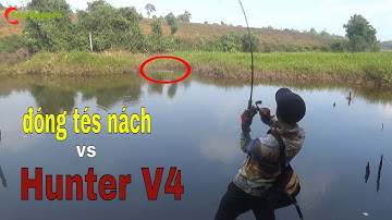 Test Hunter V4 màu đỏ (p14) câu rê cá lóc ỡ đầm lầy #câucálócTâyNguyên
