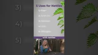 5 Surprising Uses of Stinging Nettles