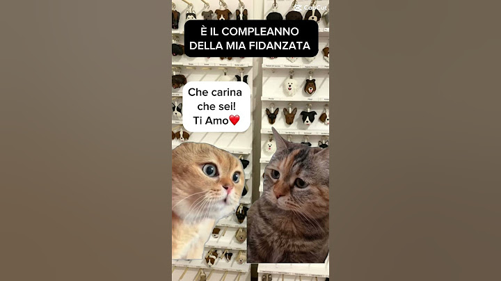 IL REGALO PERFETTO NON ESIS…💖 #portachiavi #fidanzati #coppia #lanatema #cani #gatti #cane