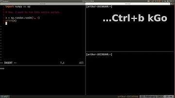vim tmux