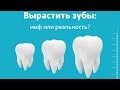 Выращивание новых ЗУБОВ во ВЗРОСЛОМ возрасте / Фролов Ю.А.