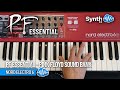 Pf essential  pink floyd sound bank  nord electro 6