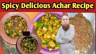 Spicy Delicious Achar Recipe 🥰 . Punjab's Tasty Delicious Multani achar Recipe .@walkytalkytv